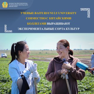 УЧЕНЫЕ BAITURSYNULY UNIVERSITY СОВМЕСТНО С КИТАЙСКИМИ КОЛЛЕГАМИ ВЫРАЩИВАЮТ ЭКСПЕРИМЕНТАЛЬНЫЕ СОРТА КУЛЬТУР
