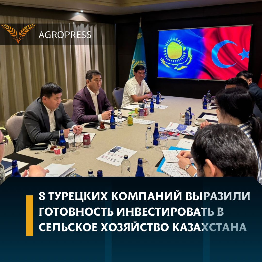 8 Turkish companies expressed their readiness to invest in agriculture in Kazakhstan