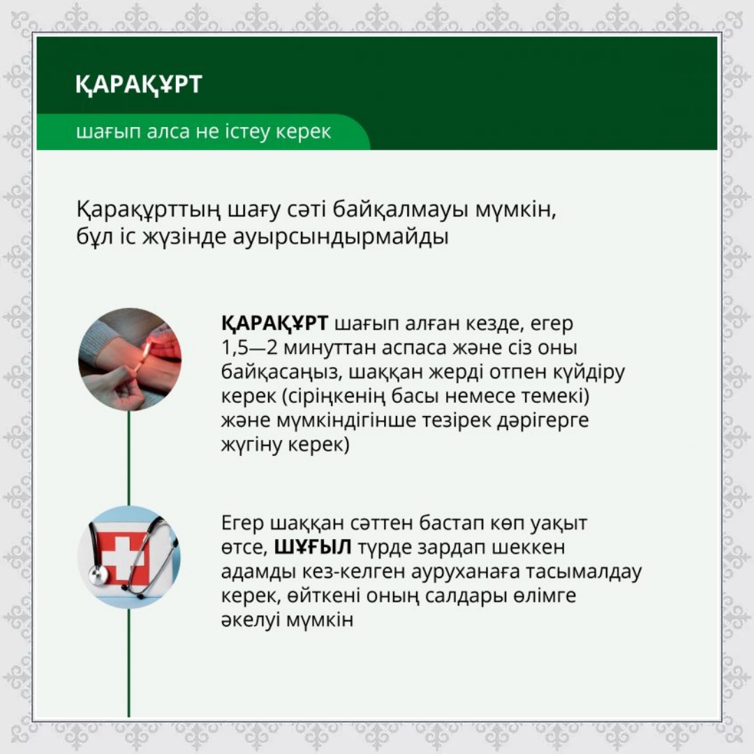 Жасырын камера чех жезөкшелерінің видеосы