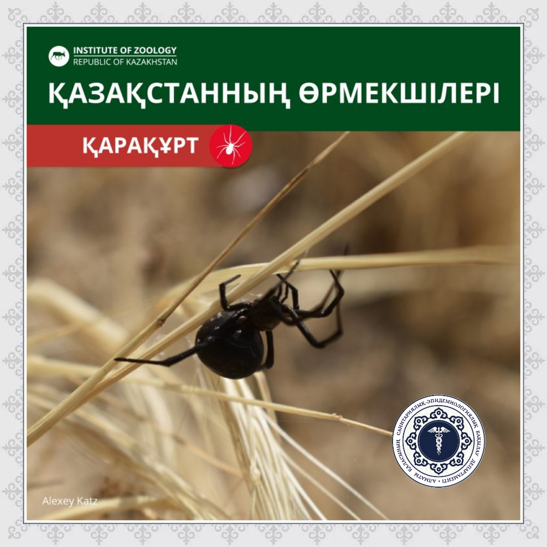 Ұзақ уақыт бойы жыныстық қатынас