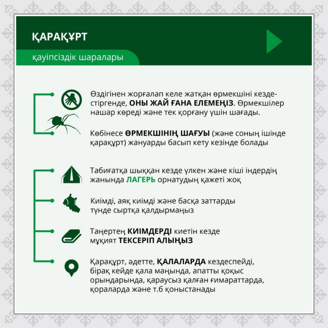 Анальды трафикті қараңыз