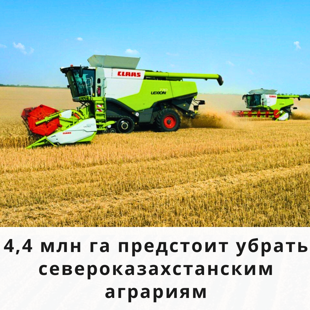 4,4 млн га площадей предстоит убрать североказахстанским аграриям