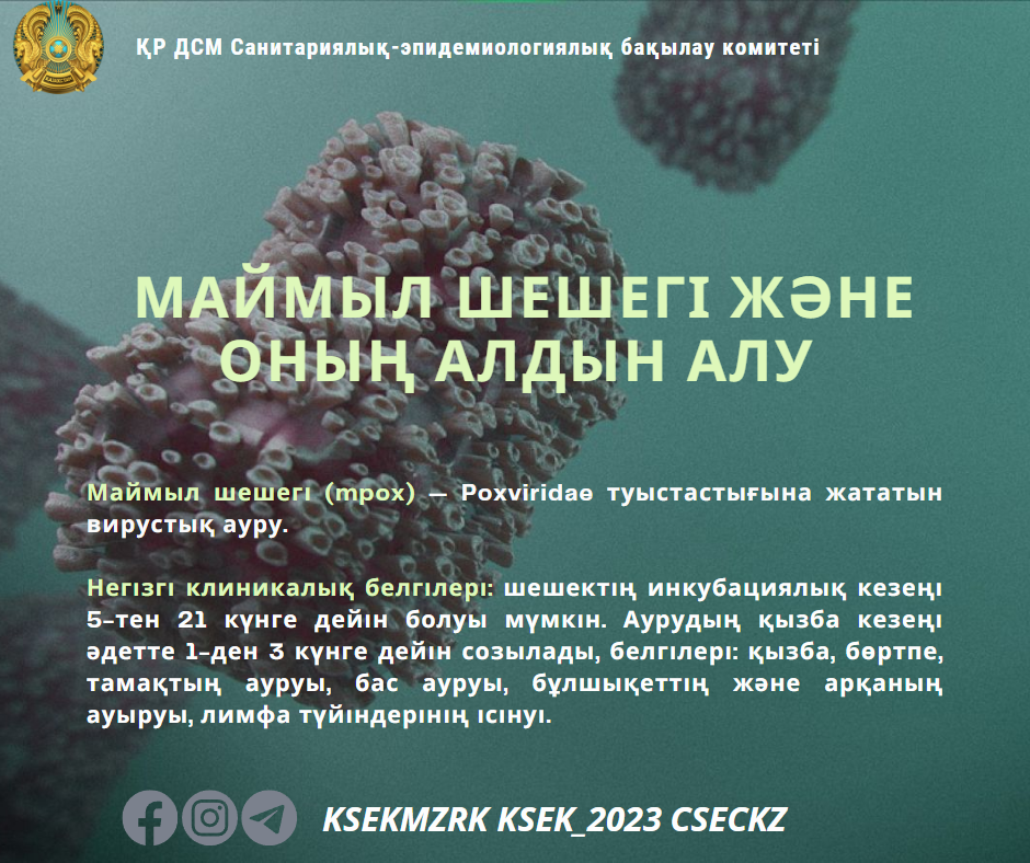 Маймыл шешегінің алдын алу