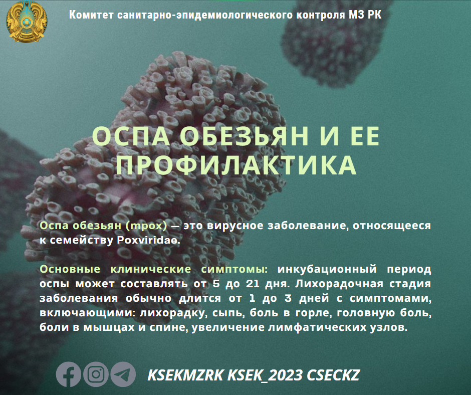 Профилактика оспы обезьян