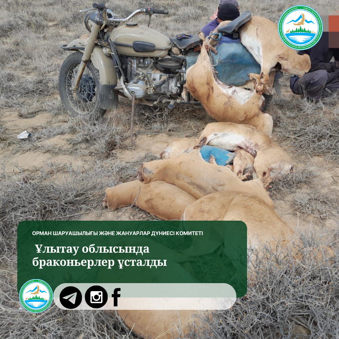 Браконьеры задержаны в области Улытау