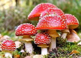 Тегін онлайн фильмдер, секс, порно, эротика және экзотика