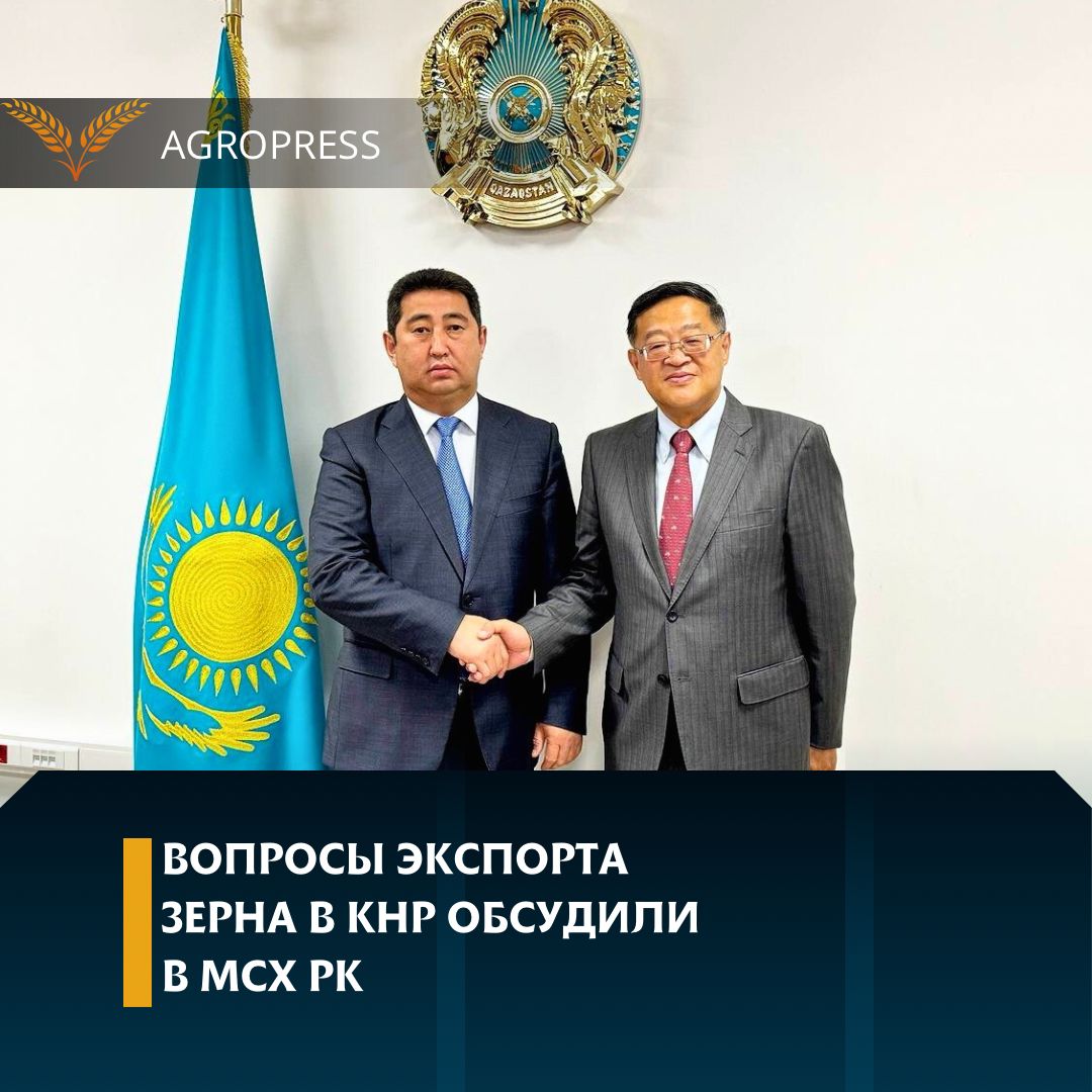 Вопросы экспорта зерна в КНР обсудили в МСХ РК