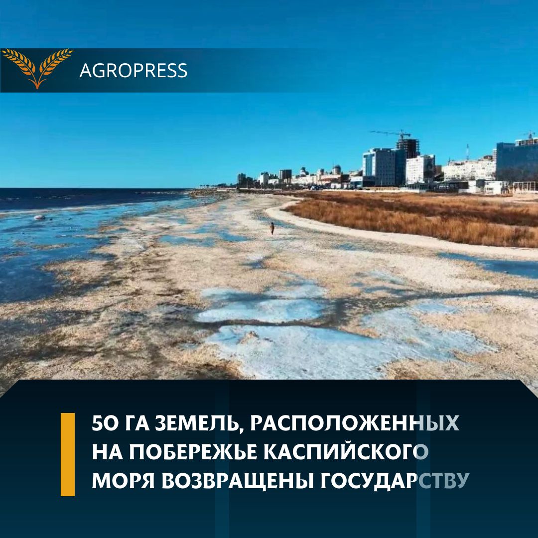 50 га земель, расположенных на побережье Каспийского моря возвращены государству