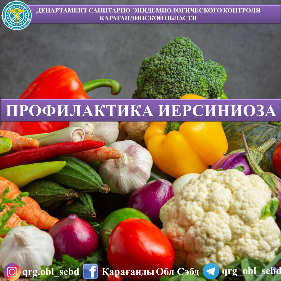 ПРОФИЛАКТИКА ИЕРСИНИОЗА