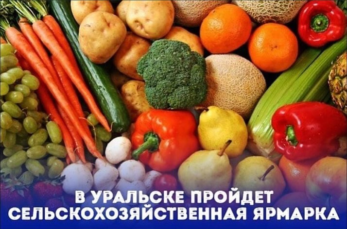 Agricultural Fair