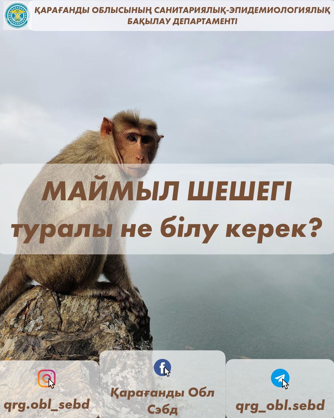 Басқа адамдардың күйеуінің порносы