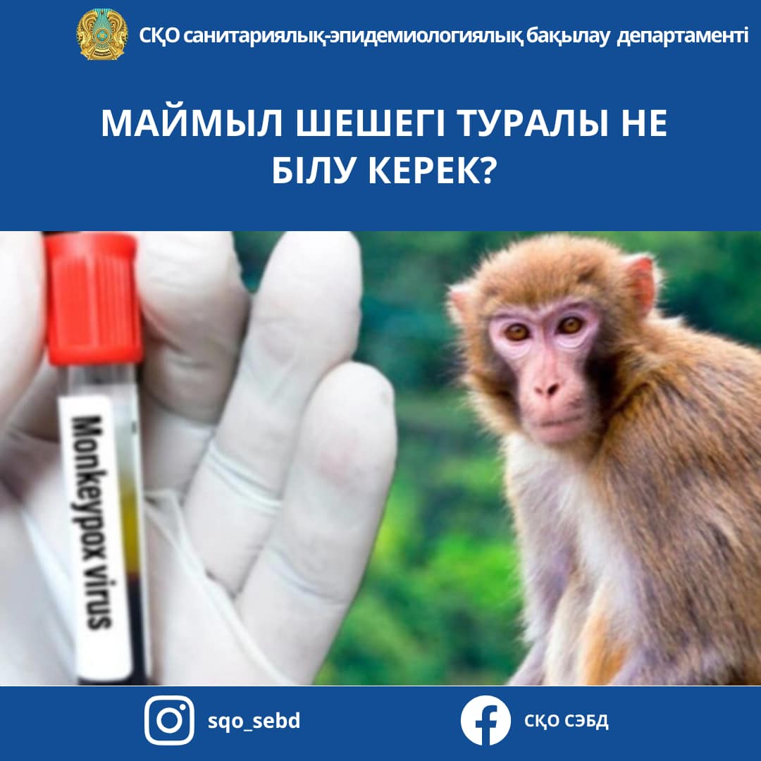 Лас секс және қатты порно