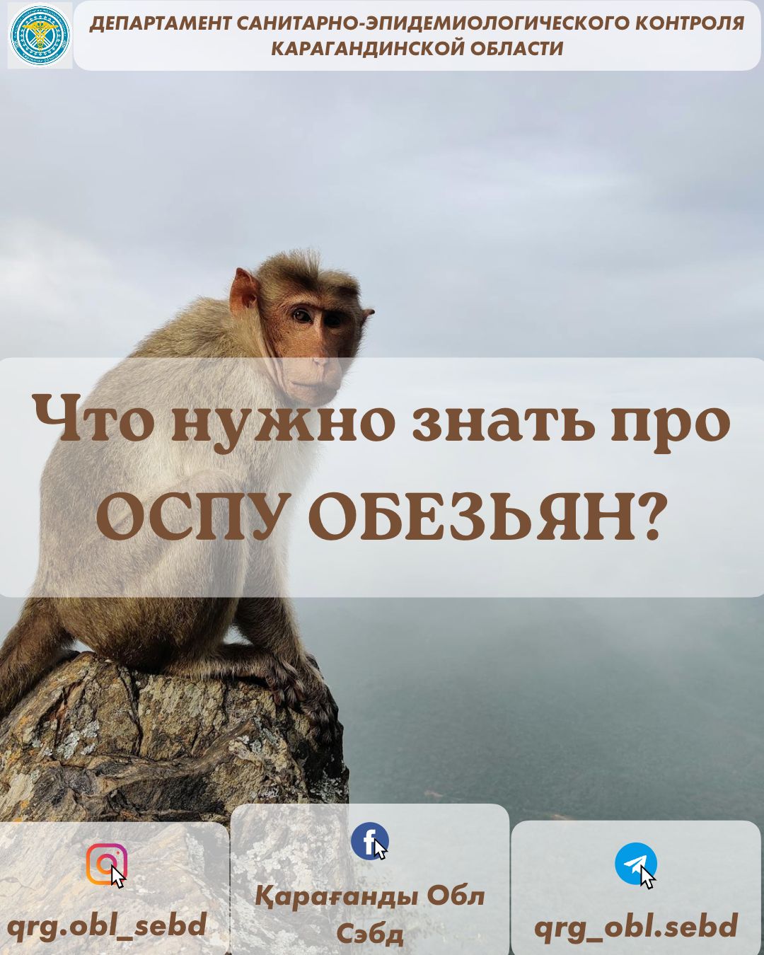 Что нужно знать про ОСПУ ОБЕЗЬЯН?