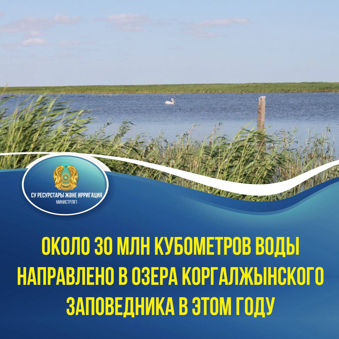 Около 30 млн кубометров воды направлено в озера Коргалжынского заповедника в этом году
