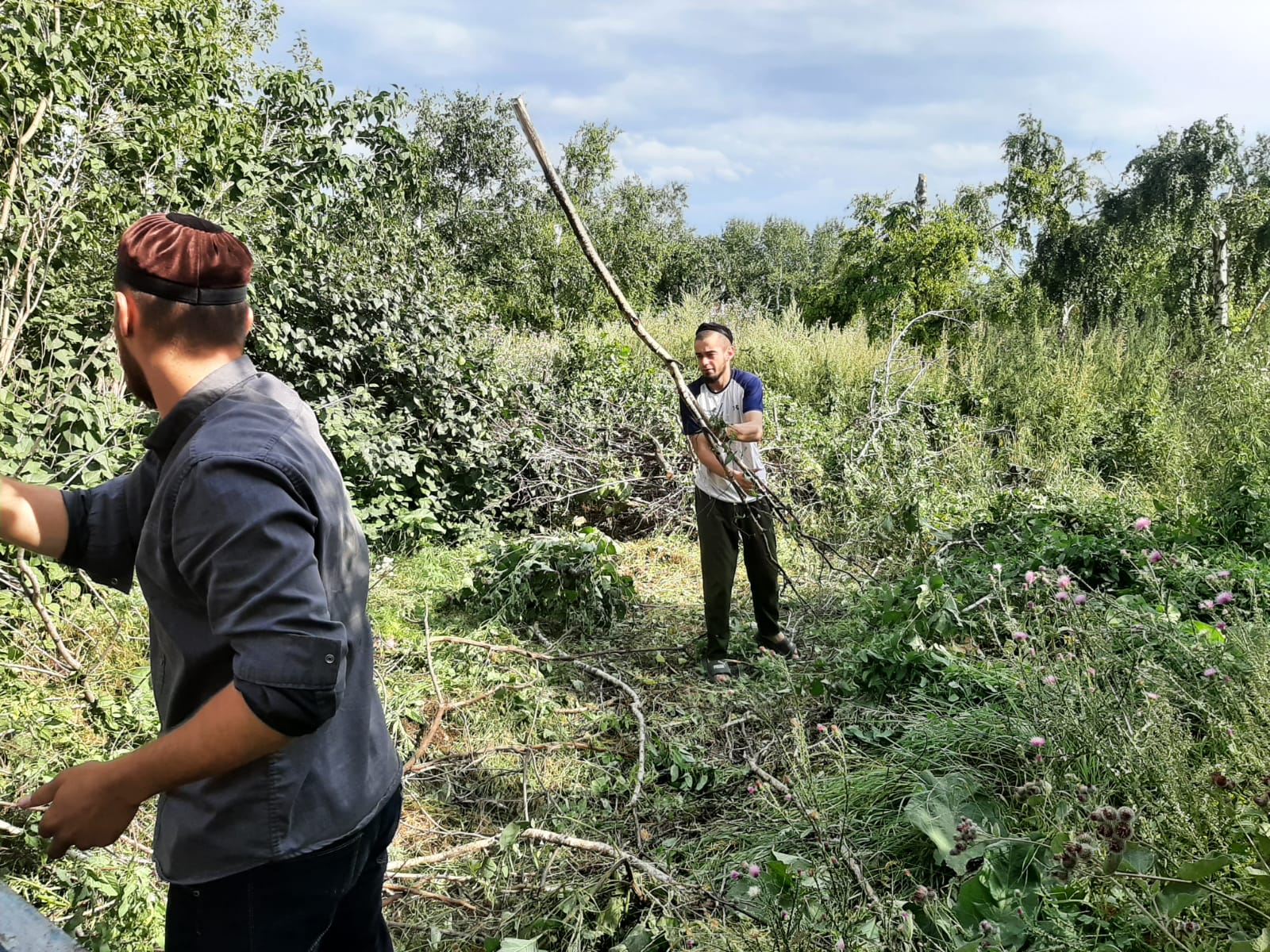 Очищен от веток парк Краснополянской школы.