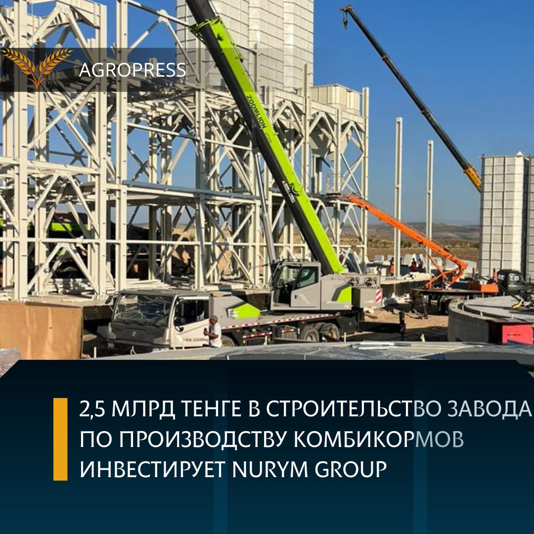 2,5 млрд тенге в строительство завода по производству комбикормов инвестирует Nurym Group