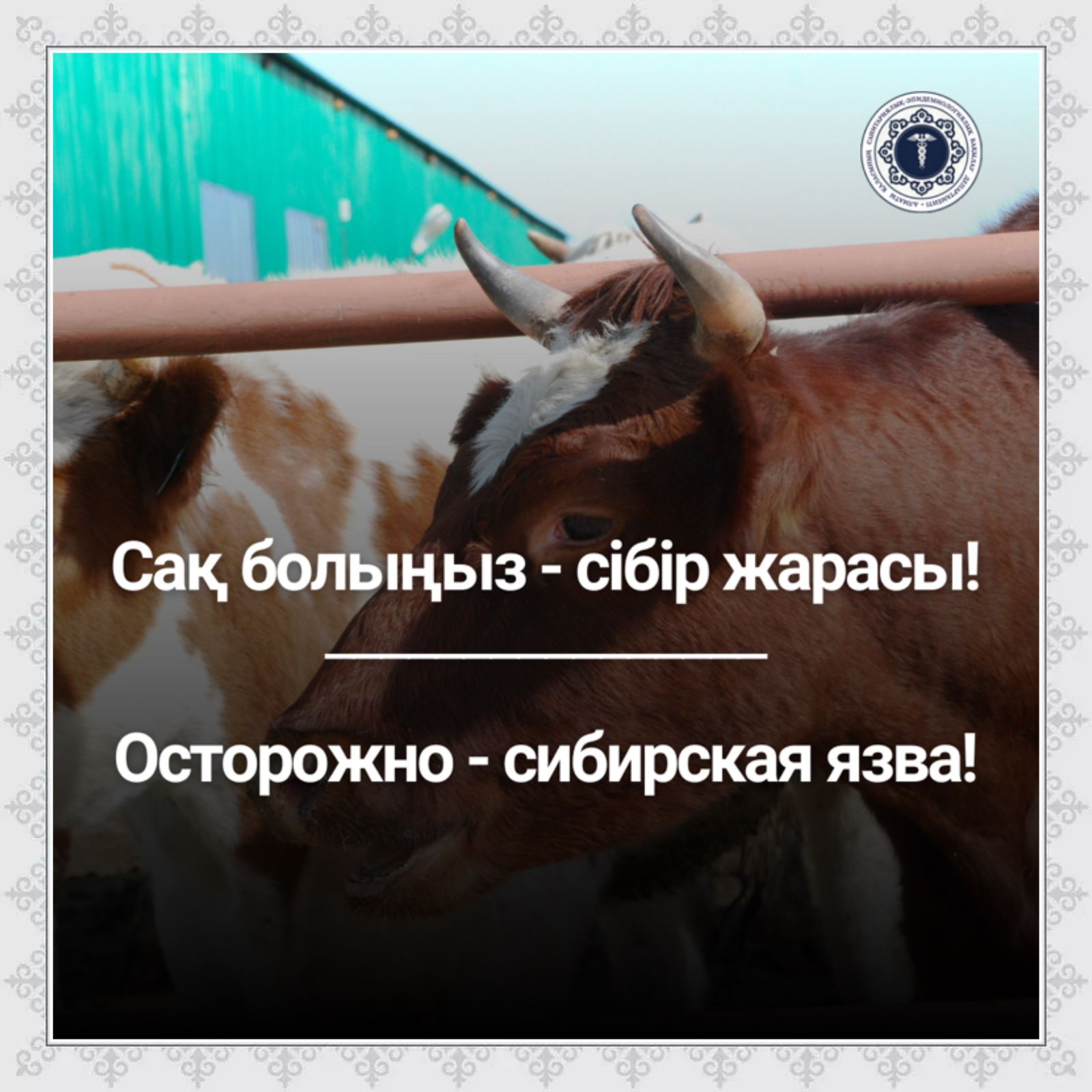 Профилактика сибирской язвы