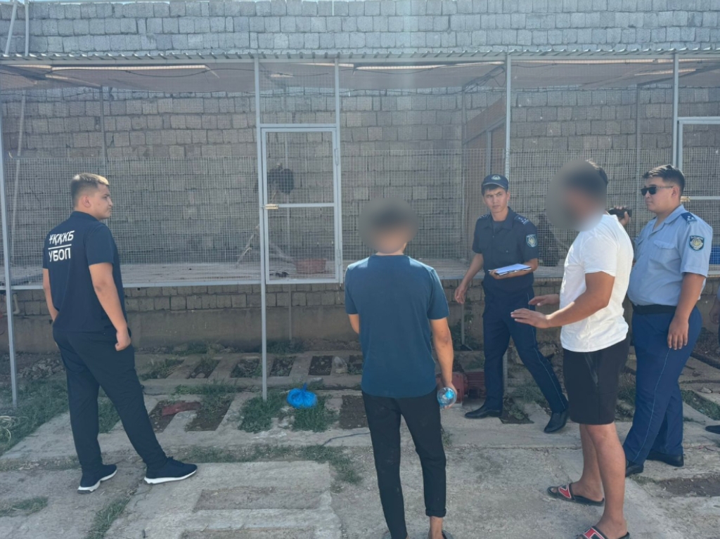Полиция Түркістан облысы тұрғынының үйінен арыстан мен жабайы құстар тәркіледі