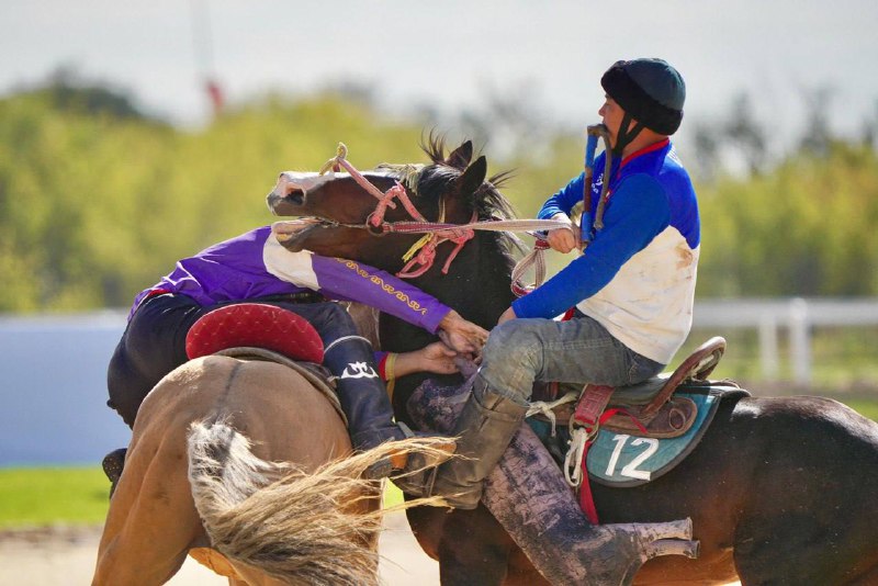 КАЗАХСТАНЦЫ ЗАВОЕВАЛИ СЕРЕБРО В КОКБОРУ