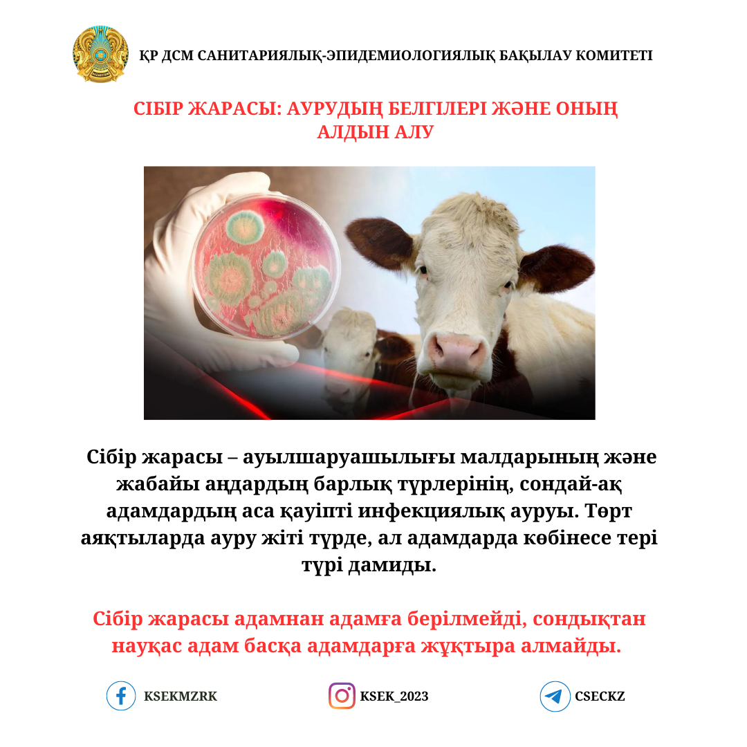 Қыз және ер адамдар тобы (хардкор порно)