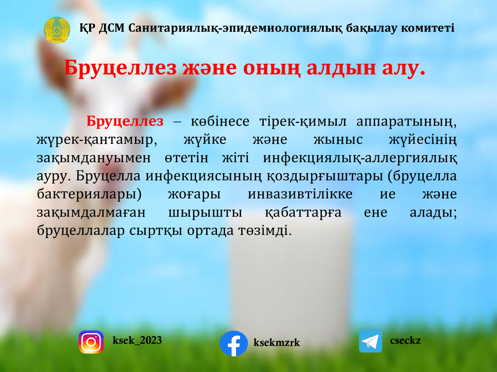 Анальды пролапс туралы бейнені қараңыз