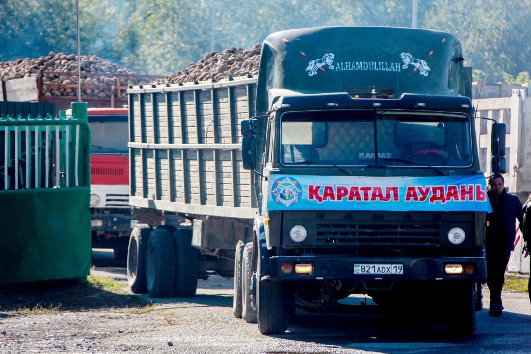 КамАЗы со свеклой