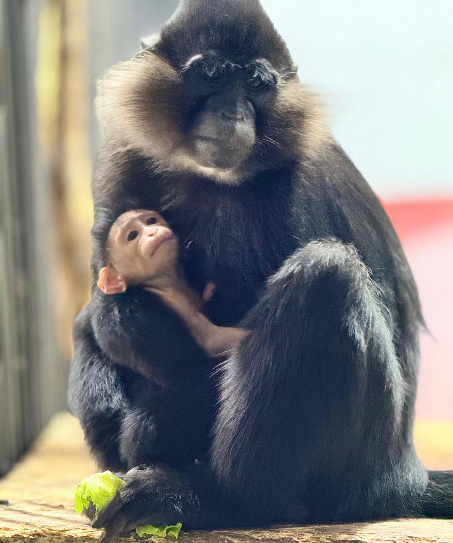 Ерлерге арналған сексуалды сандық xxl Күйеуінің әйелінің кискасынан спермы ішкен порносын көру