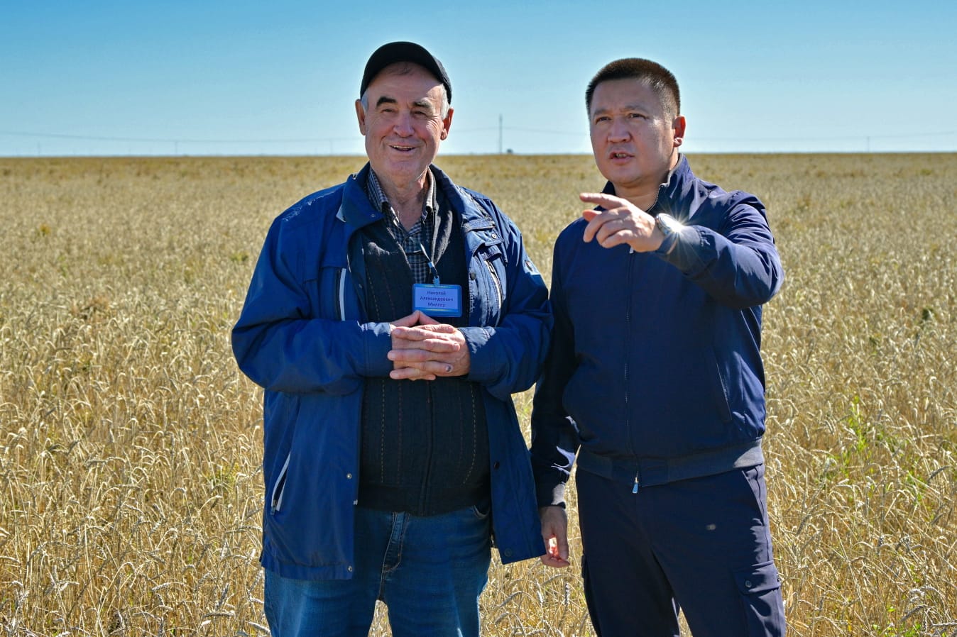 Высокий урожай зерновых и масличных культур ожидают в Павлодарской области