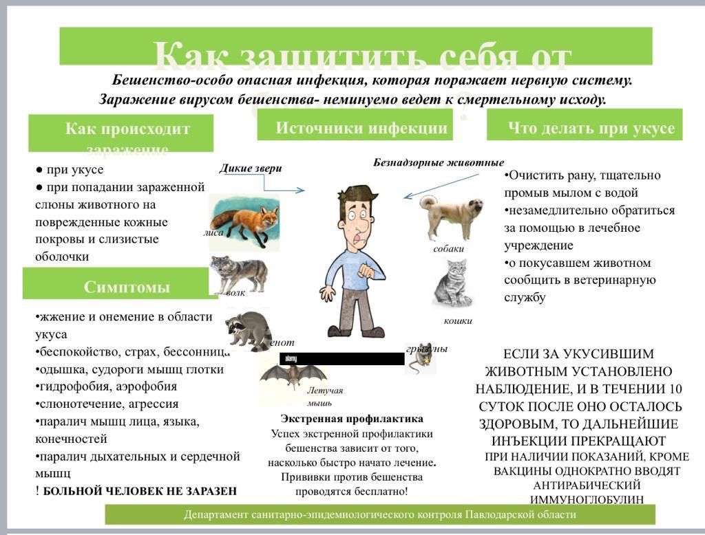 Ольга Лысактың жалаңаш суреті