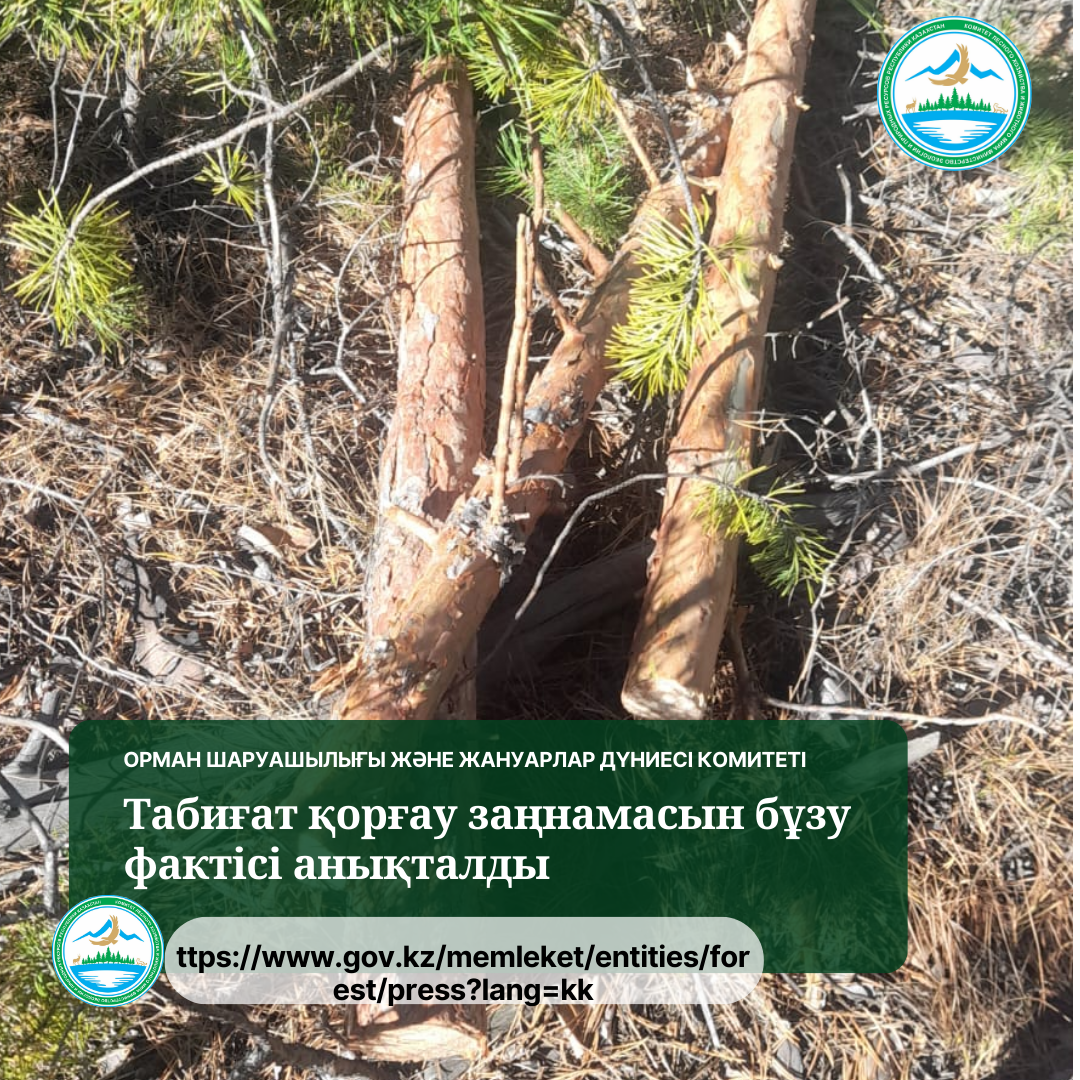 Выявлен факт нарушения природоохранного законодательства