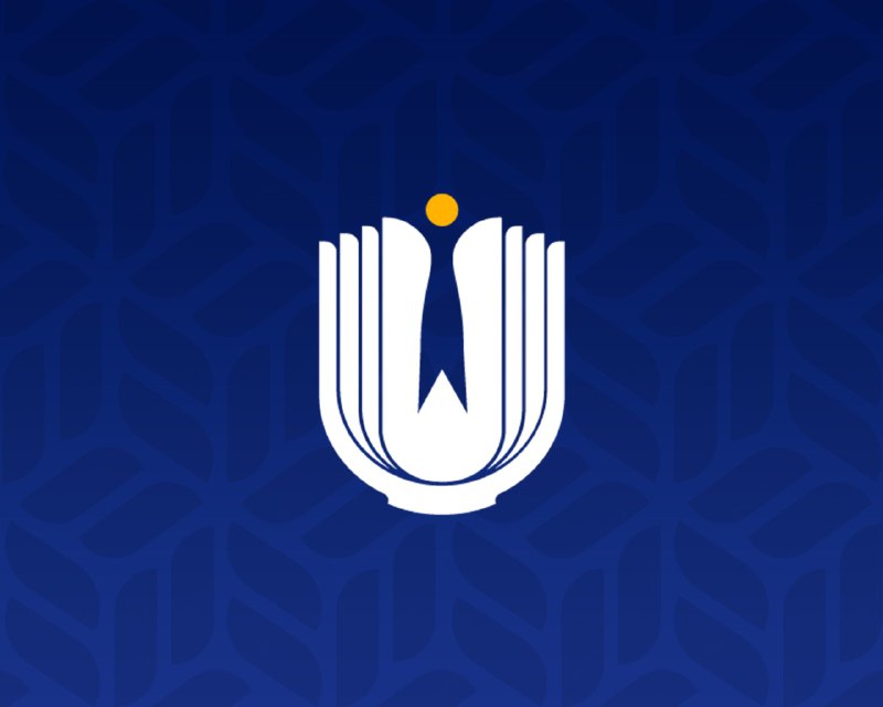 The Report on the Activities of the Commissioner for Human Rights for 2024 has been published