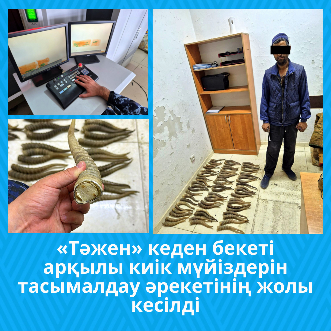 Тамбов облысындағы бір түндік кездесулер