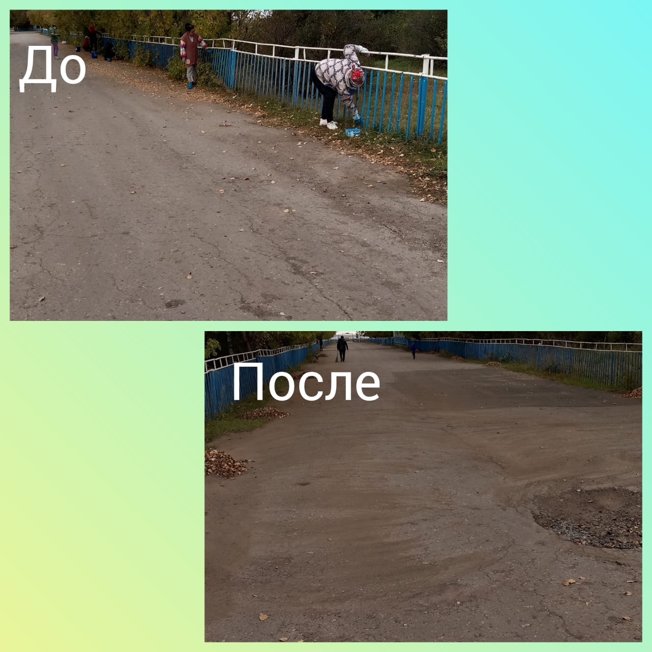 Жалпы облыстық сенбілік