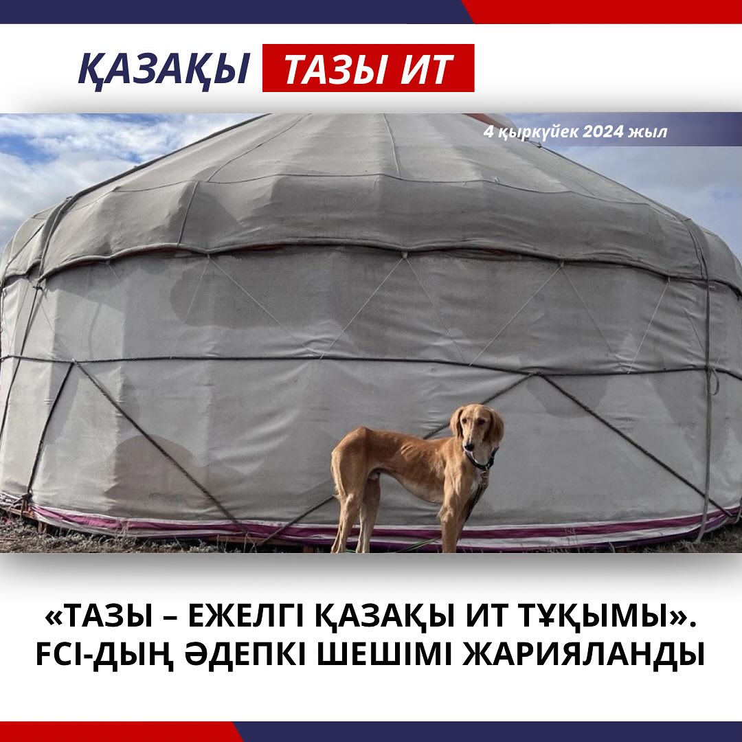 "Тазы - древняя казахская порода собак". Было объявлено решение FCI по умолчанию.