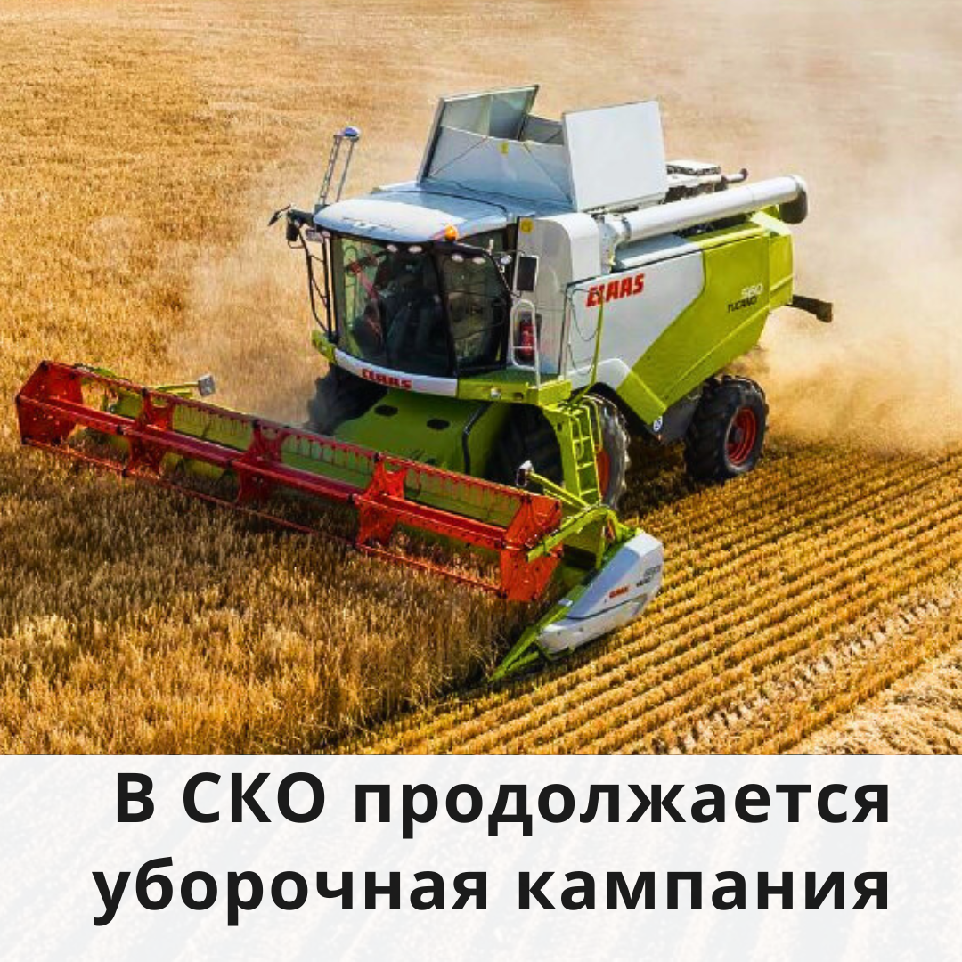 В СКО продолжается уборочная кампания