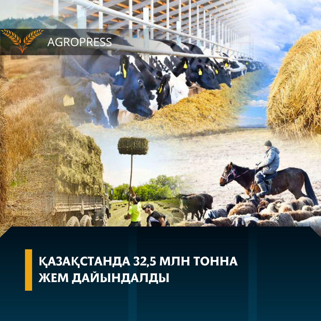 Қазақстанда 32,5 млн тонна жем дайындалды