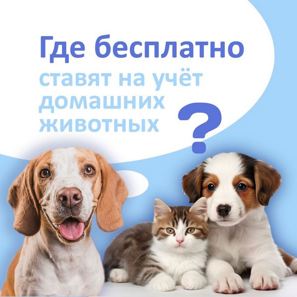 https://www.gov.kz/uploads/2024/9/9/a4262091475f9aa27f64e5286981fb7a_original.48346.jpg