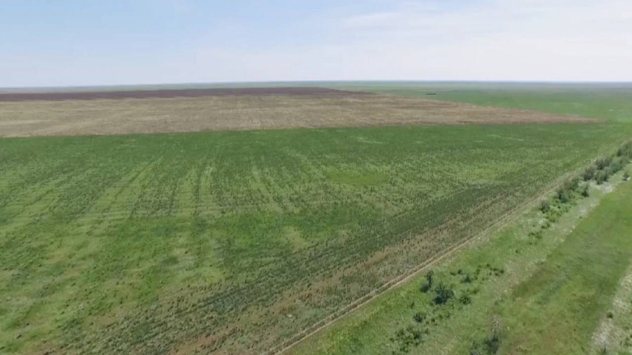 Ақтөбе облысында шамамен 600 га ауыл шаруашылығы мақсатындағы жер мемлекет меншігіне қайтарылды