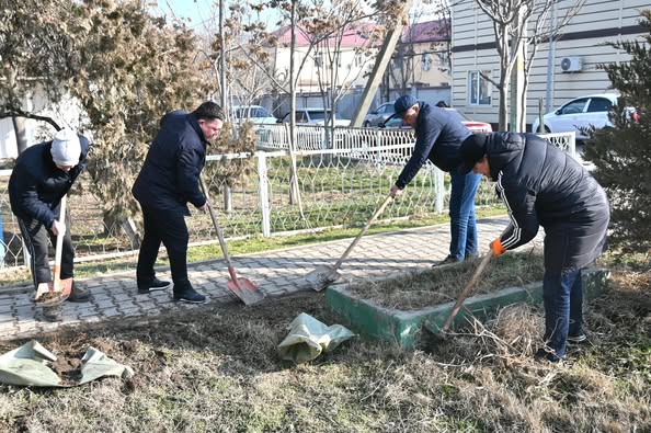 ТҮРКІСТАН: ЖЕТІСАЙДА ТАЗАЛЫҚ ЖҰМЫСТАРЫ ЖҮРГІЗІЛІП, КӨШЕТ ЕГІЛДІ