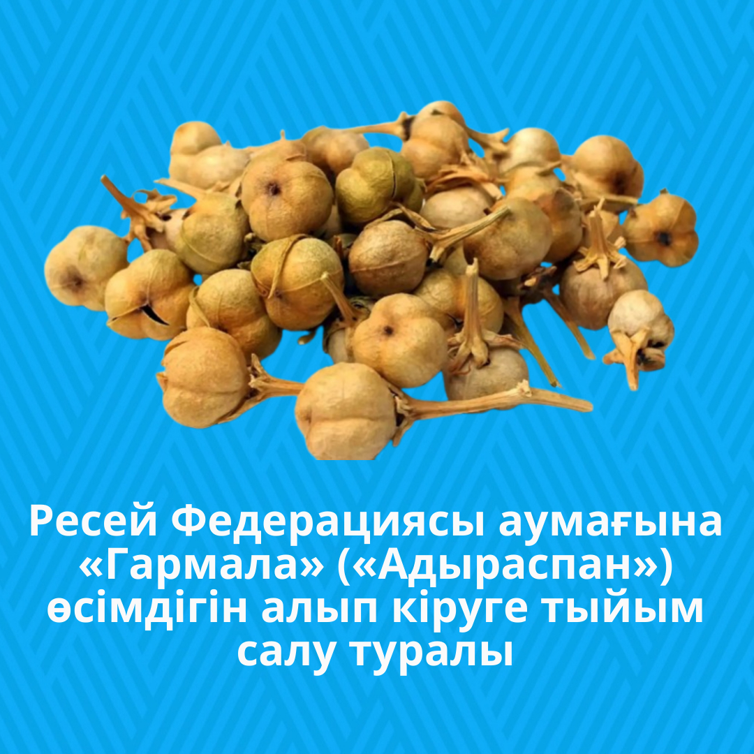 Ресей Федерациясы аумағына «Гармала» («Адыраспан») өсімдігін алып кіруге тыйым салу туралы