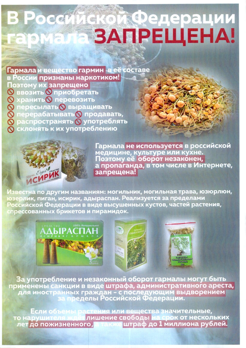 Гармала есірткісі жайында