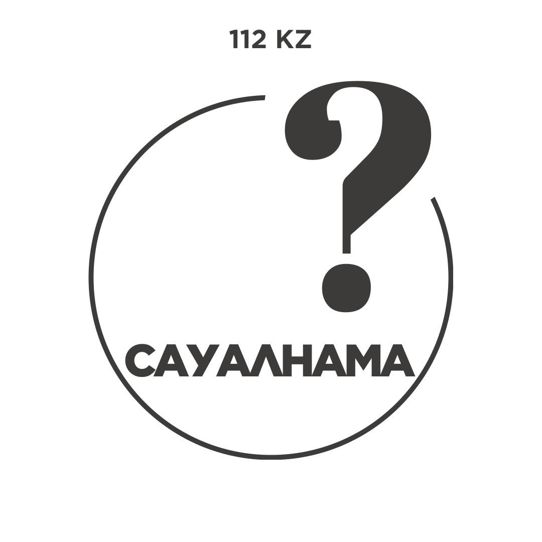 СІЗДІҢ ДАУЫСЫҢЫЗ ҚАУІПСІЗДІК ҮШІН: ТЖМ ҚЫЗМЕТІ ТУРАЛЫ САУАЛНАМА