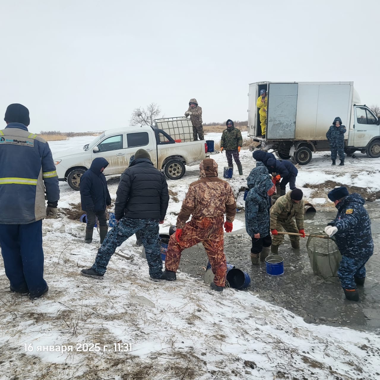 3,2 млн балық шабағы Атырау облысындағы Бақсай су арнасында құтқарылды
