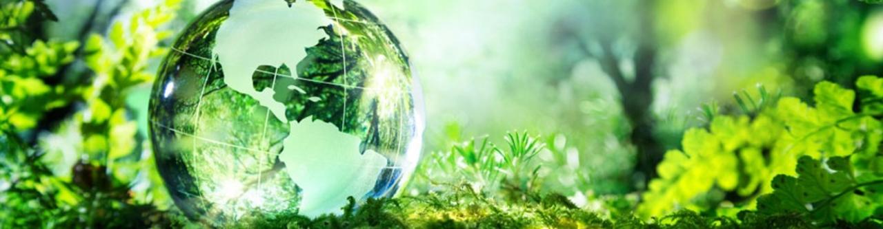 Реализация природоохранных мероприятий области 2025