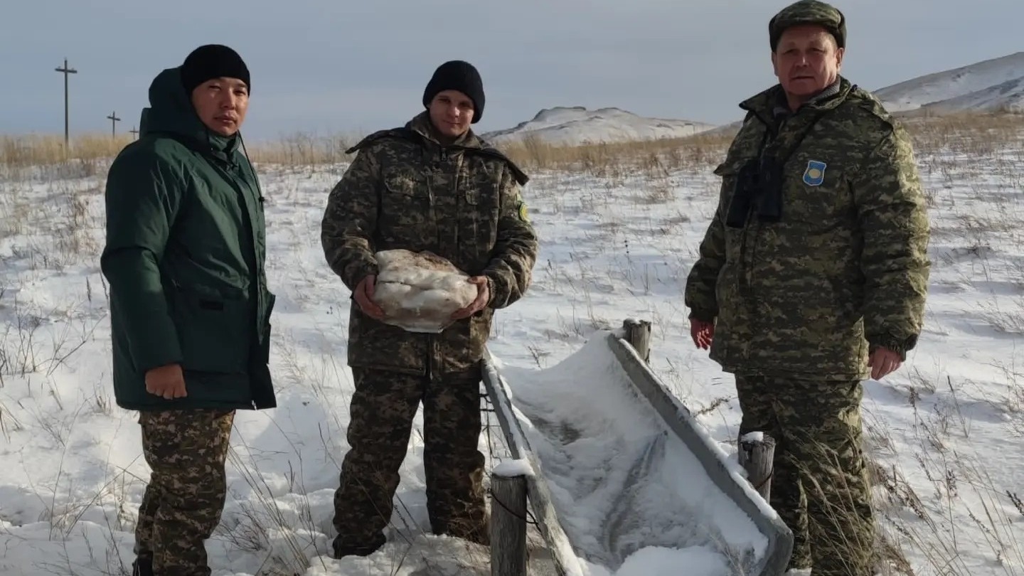 «Бұйратау» ұлттық табиғи паркінің қорықшылары қыс мезгілінде жануарларды қоректендіруде