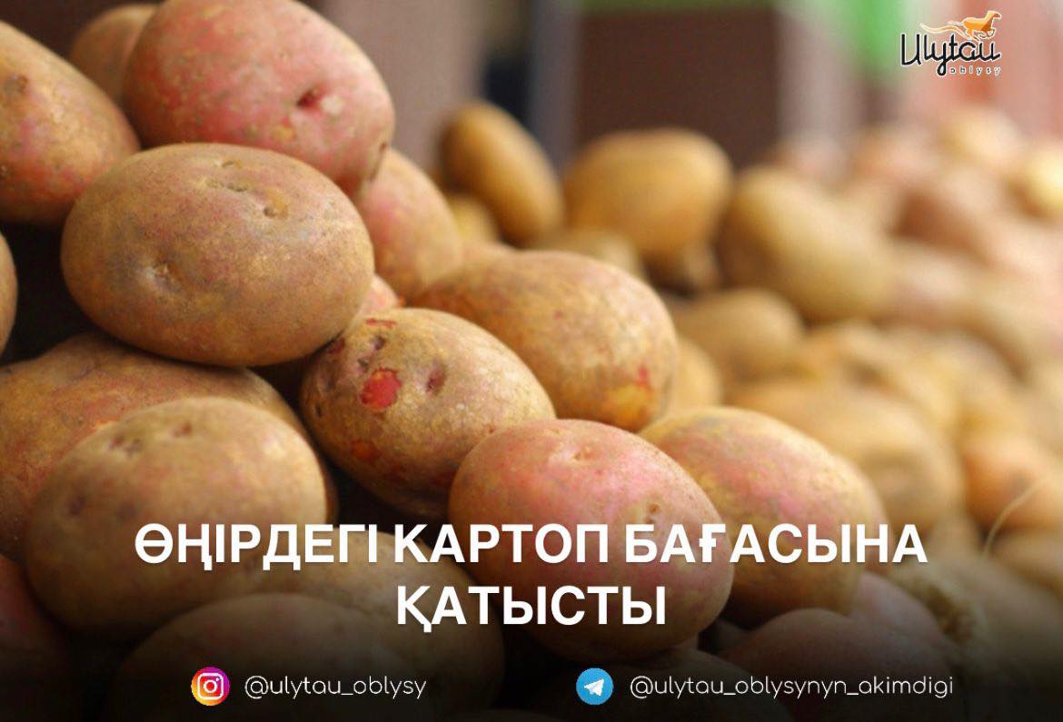 ӨҢІРДЕГІ КАРТОП БАҒАСЫНА ҚАТЫСТЫ