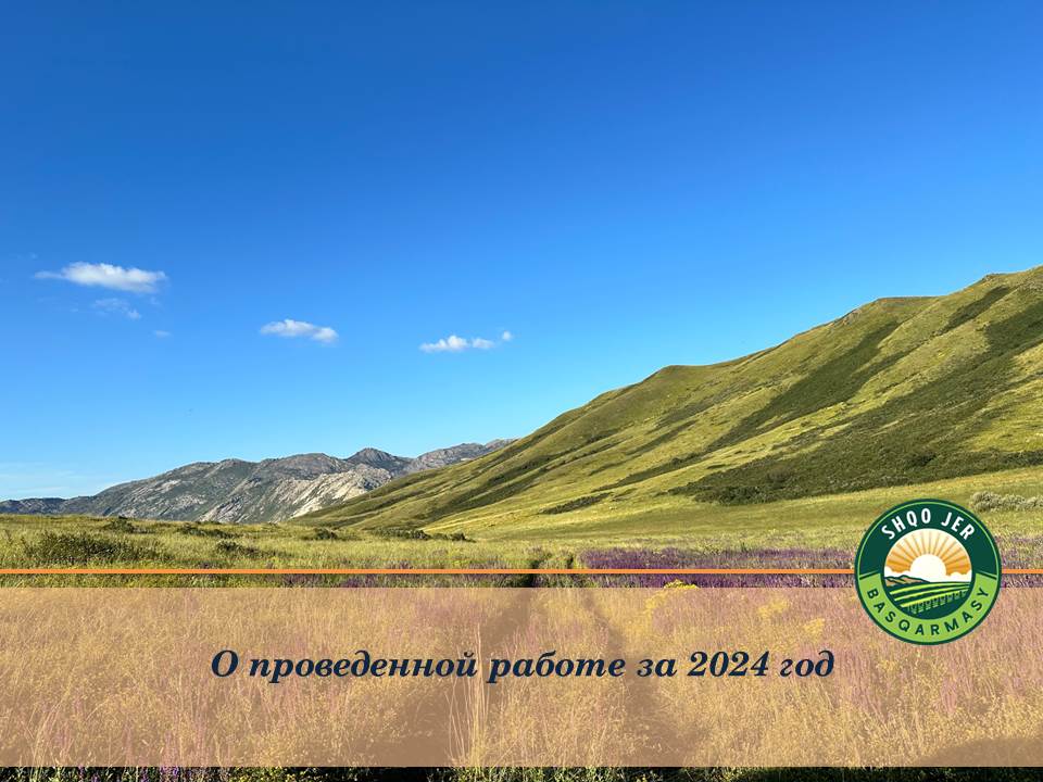 О проведенной работе за 2024 год