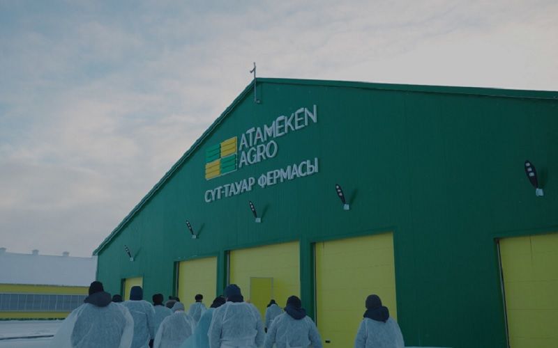 Солтүстік Қазақстан облысында 2500 басқа арналған сүт-тауар фермасы іске қосылды