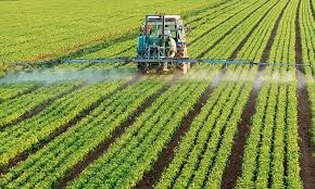 «2026 жылға арналған субсидияланатын пестицидтердің, биоагенттердiң (энтомофагтардың) тізбесі және пестицидтердің, биоагенттердiң (энтомофагтардың) 1 литріне (килограмына, грамына, данасына) арналған субсидиялар нормаларын бекіту туралы»  Ақмола облысы әкімдігінің қаулысының жобасына баспасөз хабарлама