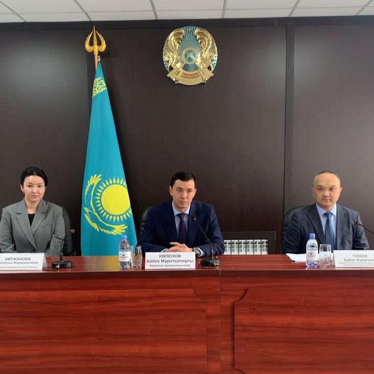 Қынаптар мен мүшелердің фотосуреттері